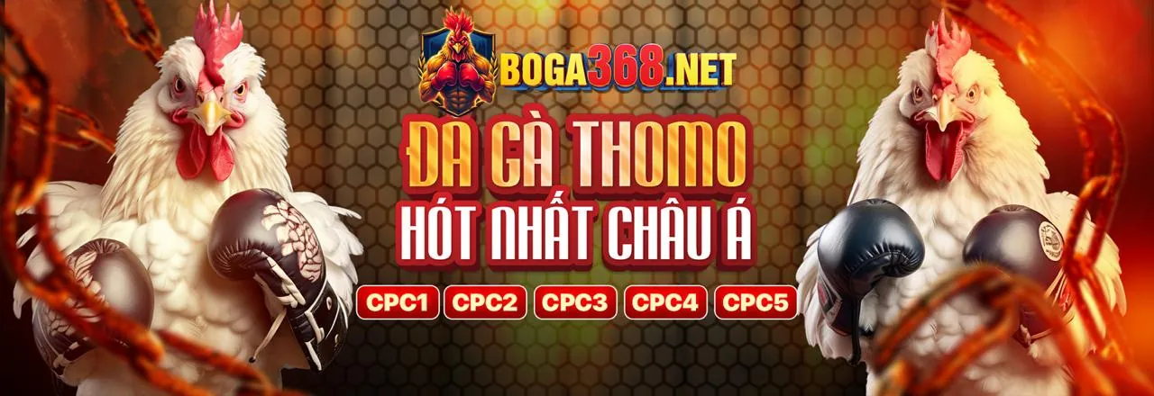 Đội ngũ chuyên nghiệp của df99